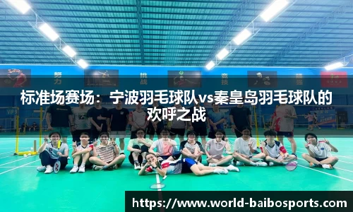 标准场赛场：宁波羽毛球队vs秦皇岛羽毛球队的欢呼之战